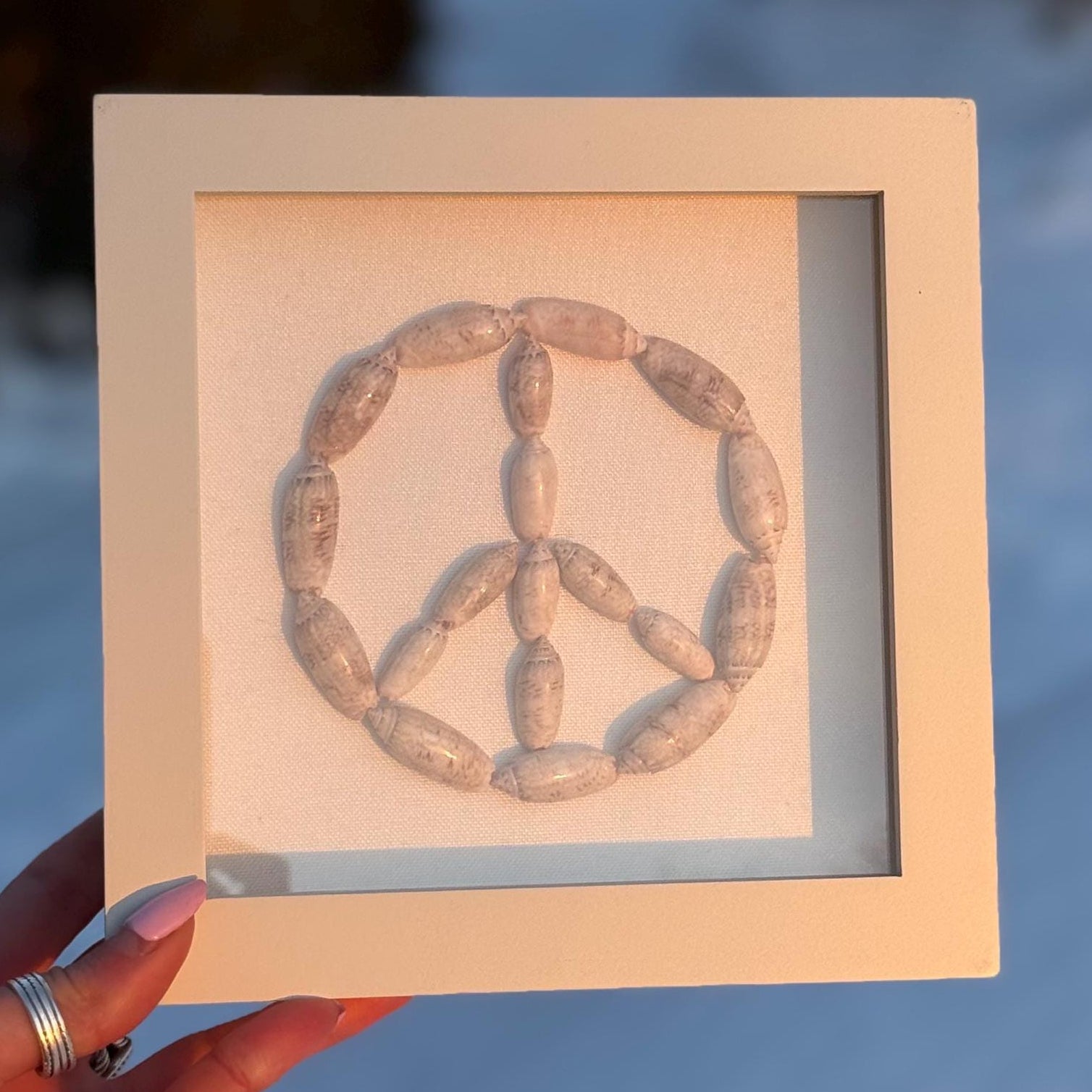 Seashell Peace Sign
