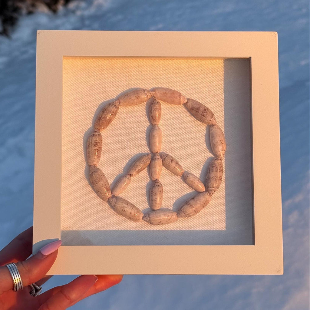 Peace symbol made of shells in a wooden frame held by a hand against a snowy background
