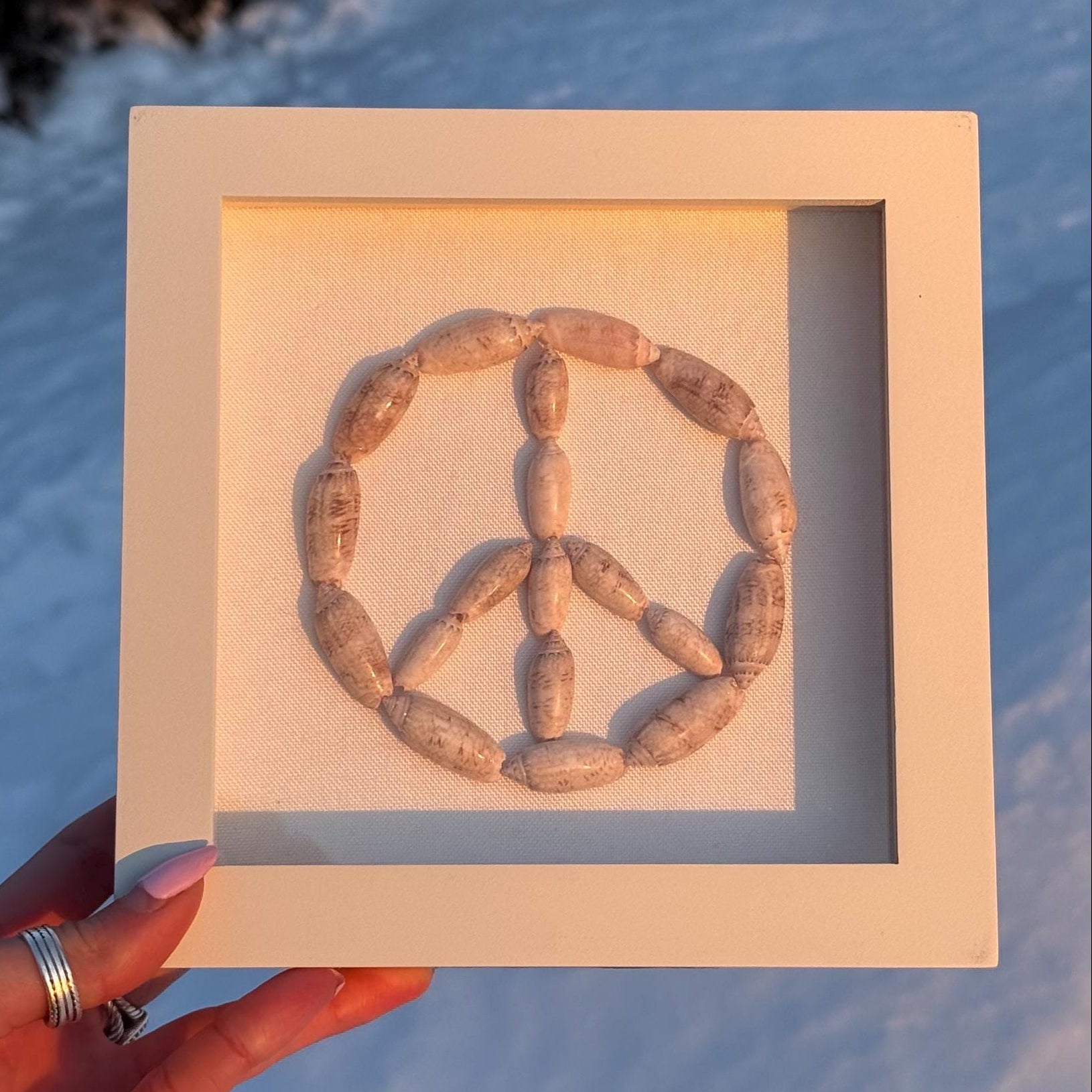 Peace symbol made of shells in a wooden frame held by a hand against a snowy background