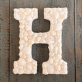 Decorative letter 'H' made of seashells on a wooden background