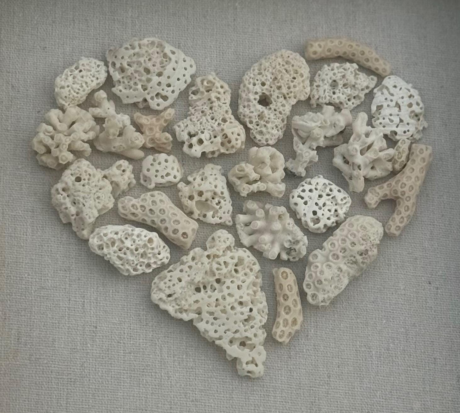 Coral Heart Shadowbox - Handmade Coastal Wall Art