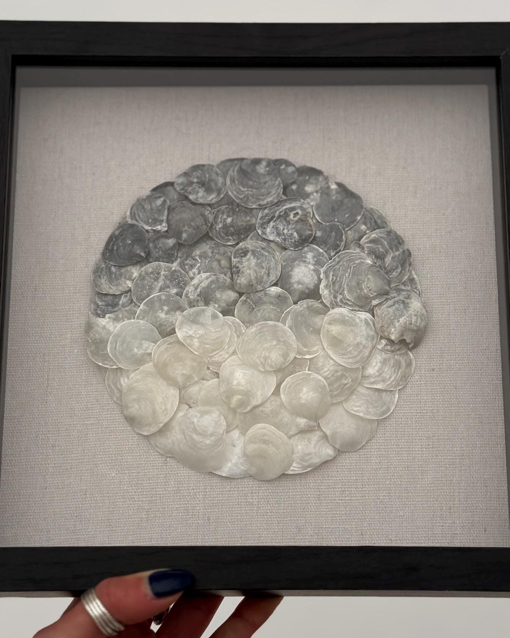 Ombre Seashell Shadowbox - Authentic Sanibel Island Jingle Shells (Capiz) | Black & White Gradient