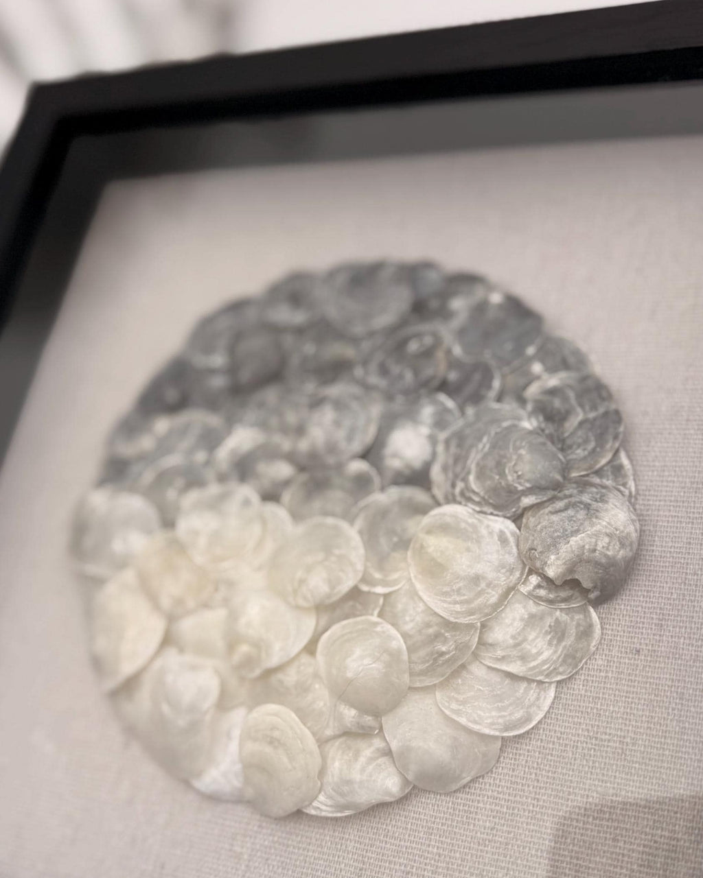 Ombre Seashell Shadowbox - Authentic Sanibel Island Jingle Shells (Capiz) | Black & White Gradient