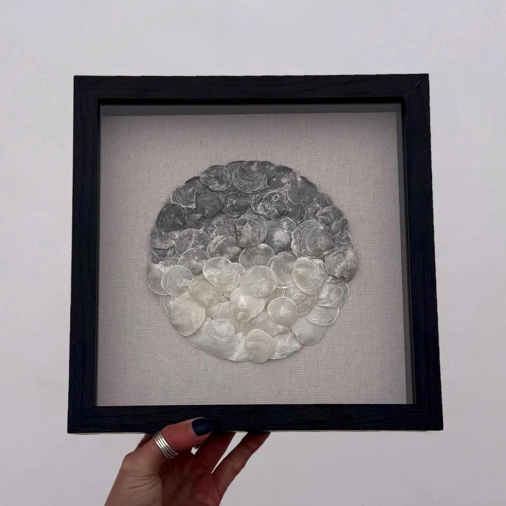 Ombre Seashell Shadowbox - Authentic Sanibel Island Jingle Shells (Capiz) | Black & White Gradient