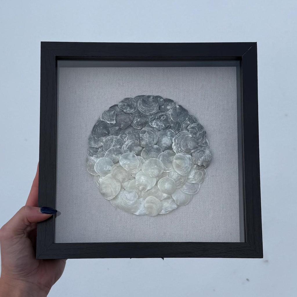 Ombre Seashell Shadowbox - Authentic Sanibel Island Jingle Shells (Capiz) | Black & White Gradient