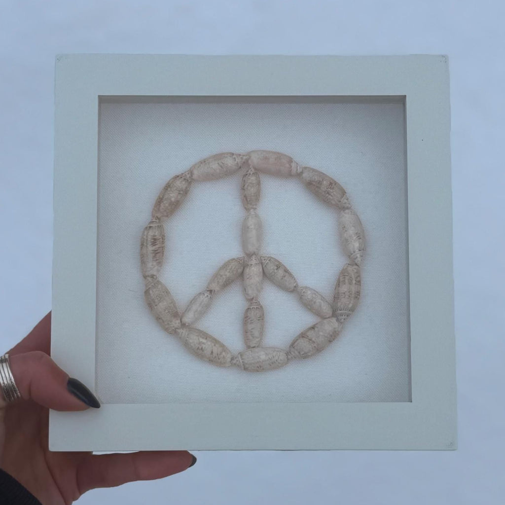 Seashell Peace Sign