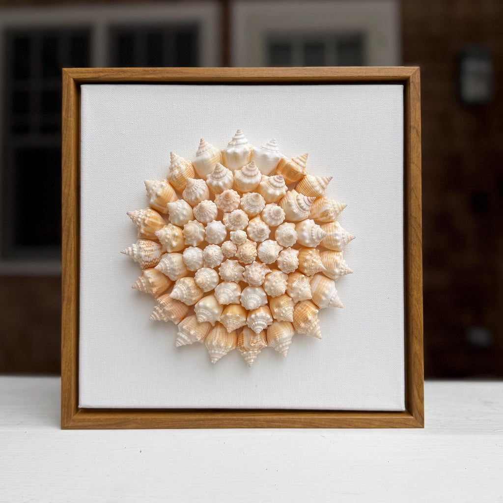 Handmade Shell Flower | 50+ Authentic Sanibel Island Conch Shells