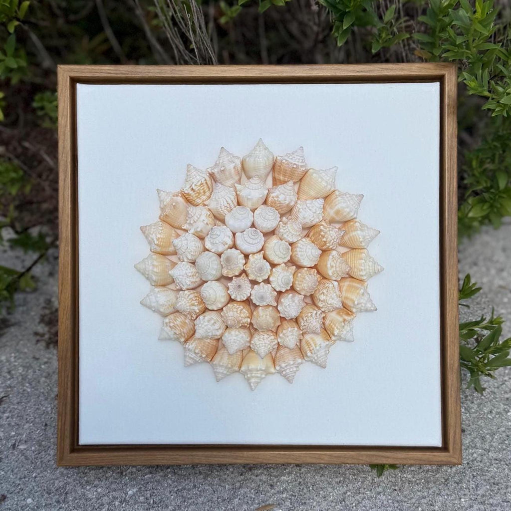 Framed artwork of a shell mandala made from juvenile conch shells sitting on a Canvas with brown frame. Sand and Greenery is background