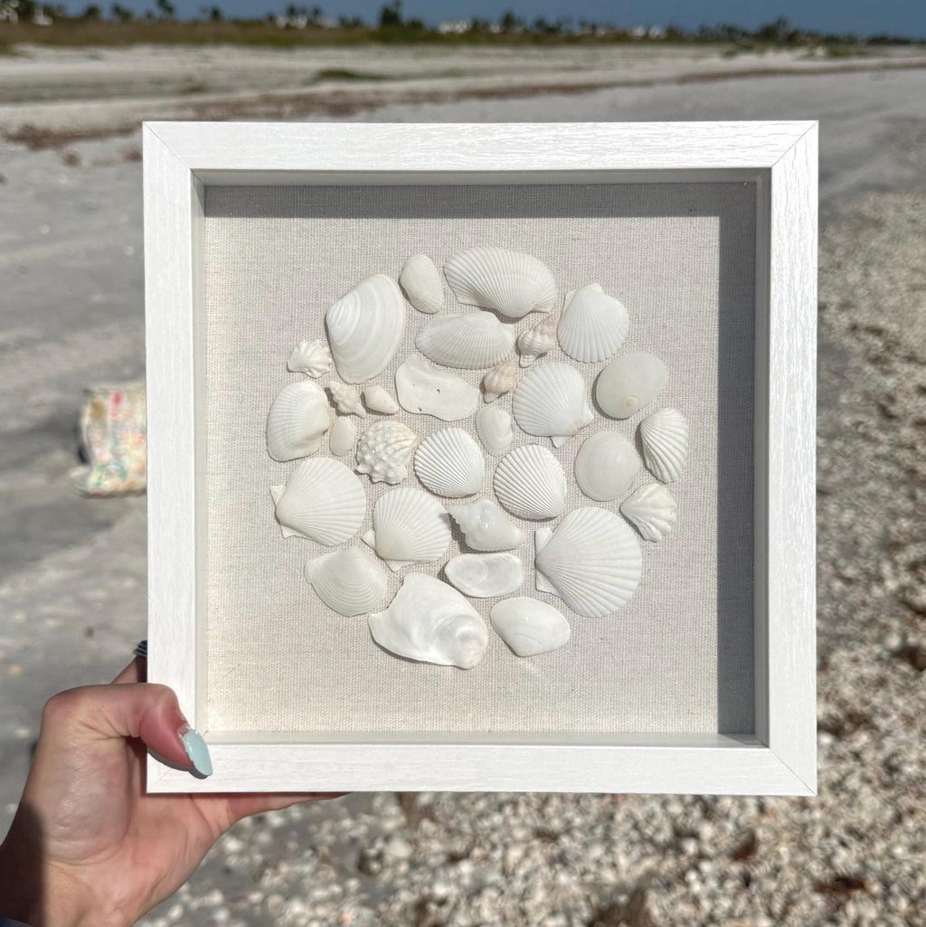 Framed collection of seashells held in front of a beach background
