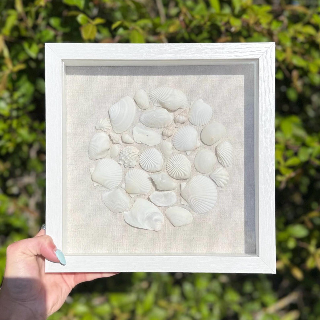 Framed artwork with white seashells on a beige background held in front of green foliage.