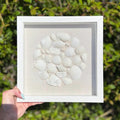 Framed artwork with white seashells on a beige background held in front of green foliage.
