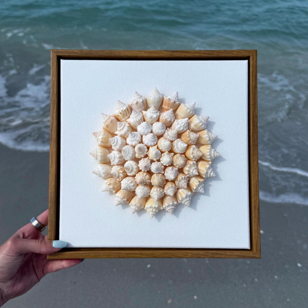 Framed artwork of a shell mandala made from juvenile conch shells sitting on a Canvas with brown frame. held over a beach with ocean waves in the background