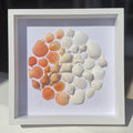 Framed display of various seashells fading from bright orange to white arranged in a circular pattern on a white background.