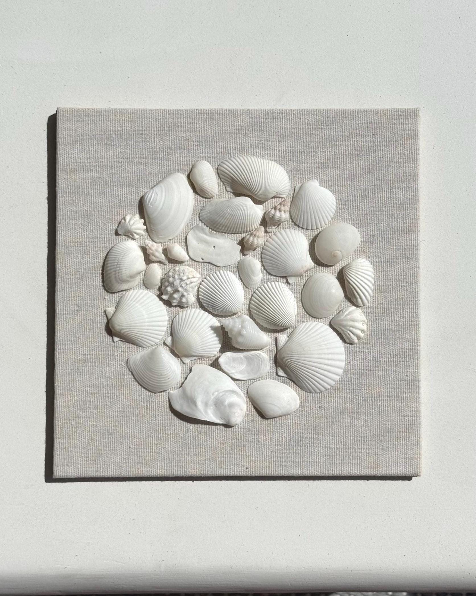 White Seashell Mosaic 9x9 – Sanibel Shell Shop™
