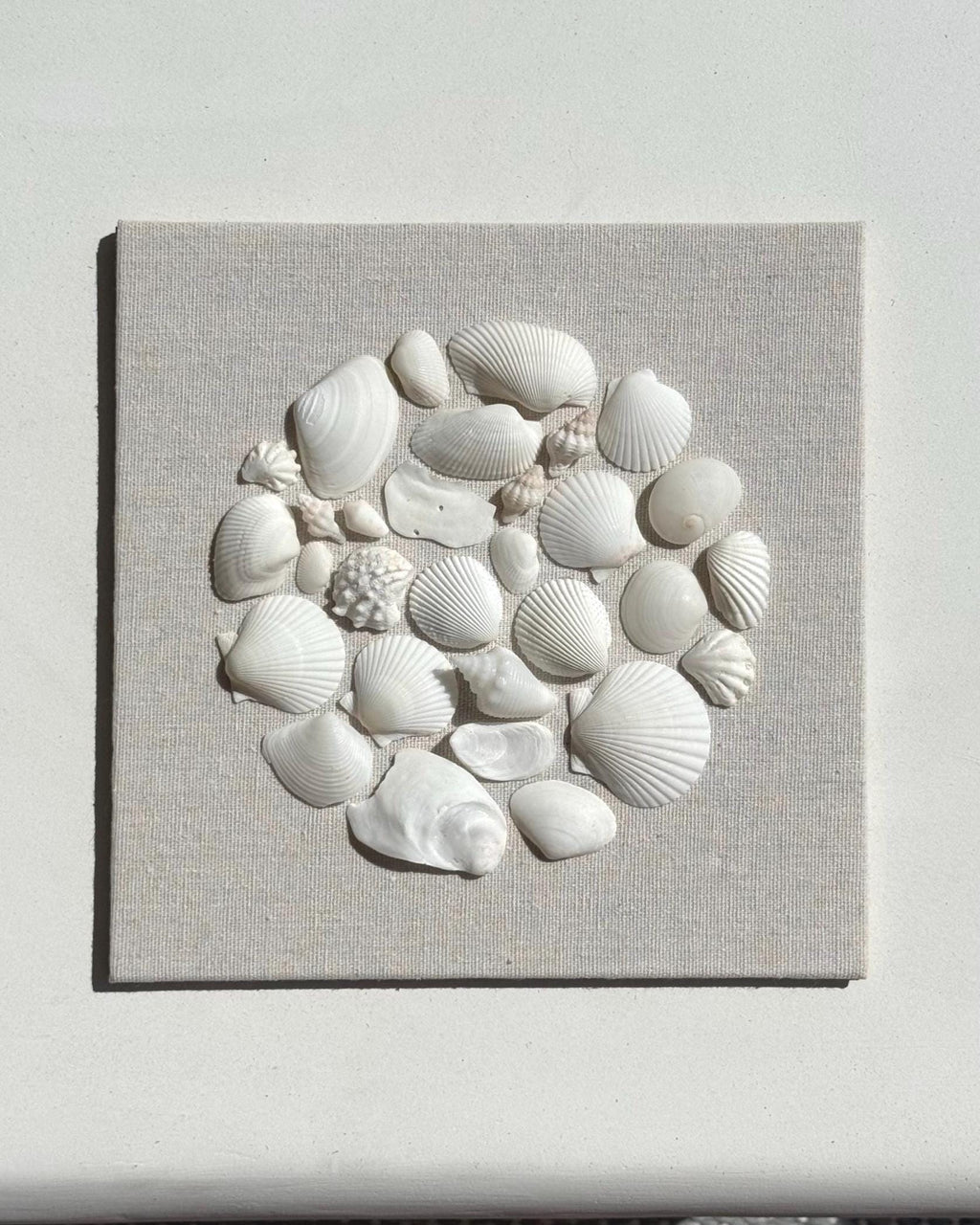 Canvas with a circular arrangement of white seashells on a gray background